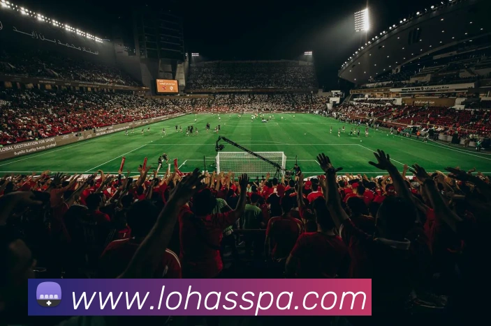 多媒体互动体验